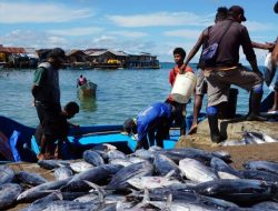Perekonomian Nelayan Paser Bangkit Dinas Perikanan Rencanakan Pembangunan 2 TPI di Kawasan Pesisir